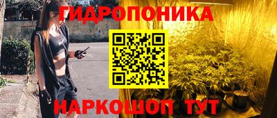 гидропоника Анжеро-Судженск